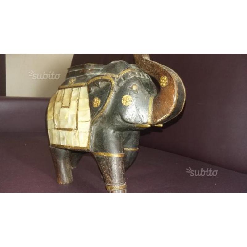 Elefante indiano