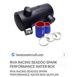 Seadoo spark Riva racing